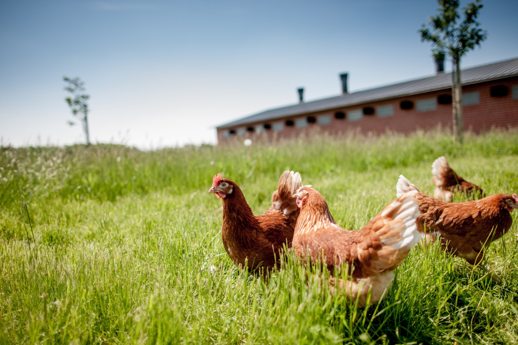 Ekorundan 2018- 1-2:a september ?i torrt och vått