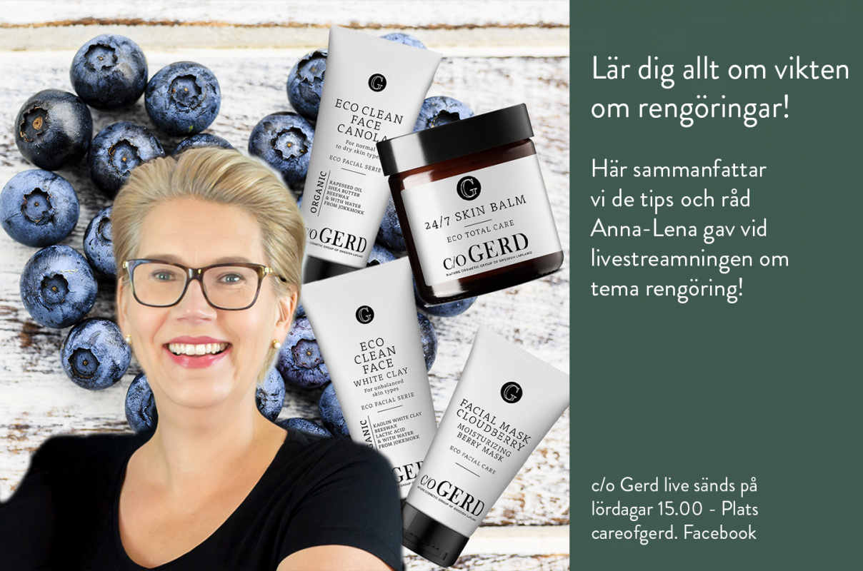 Alla Tipsen från c/o Gerd LIVE Tema Rengöringar